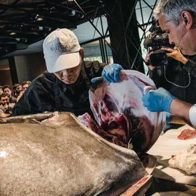 Ronqueo de un atún de 195 kilos en nuestro Salón Enredos.